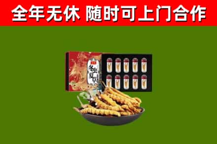 石家庄回收冬虫夏草价格